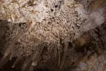 PICTURES/Mitchell Caverns/t_Baby Straws2.JPG